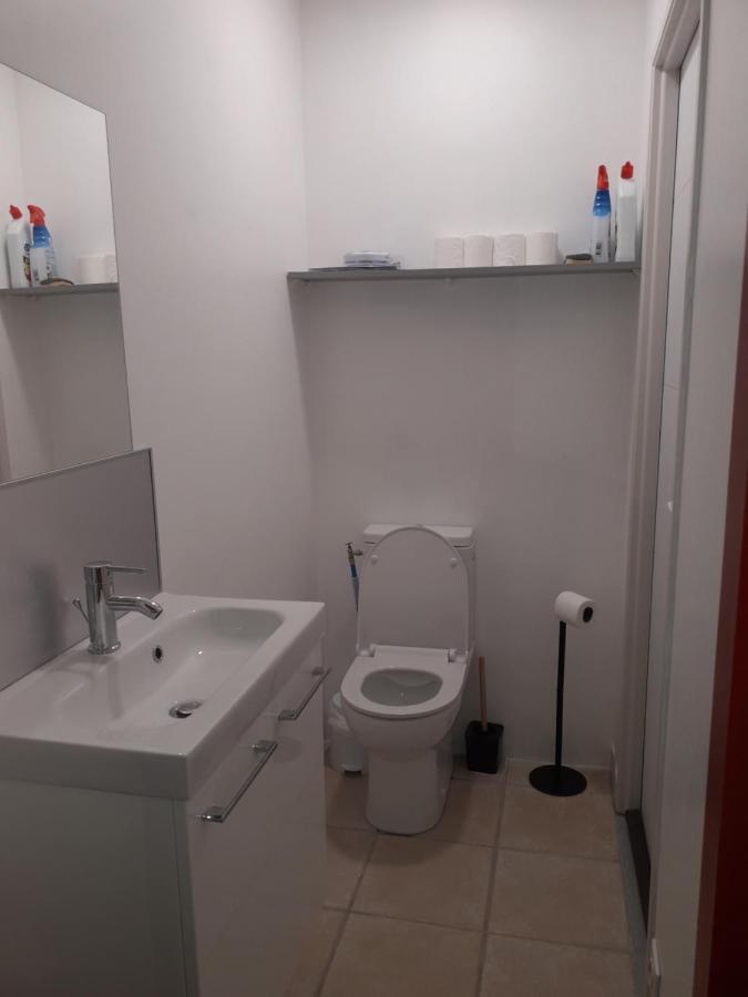 Dormir A Montauban Logements Carreyrat Calme Et Verdoyant 外观 照片